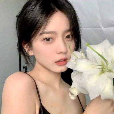 托卡校园世界游戏下载